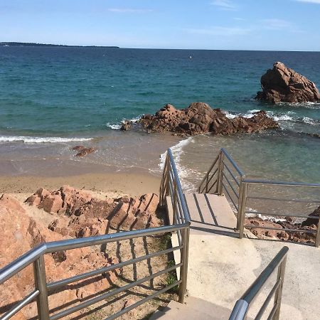 Magnifique Appartement Pied Dans L'Eau Cannes Eksteriør billede