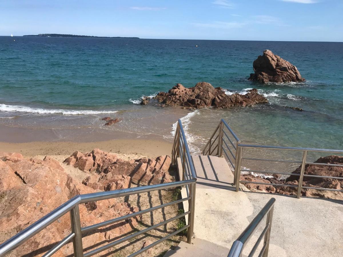 Magnifique Appartement Pied Dans L'Eau Cannes Eksteriør billede
